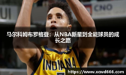 米兰体育官网